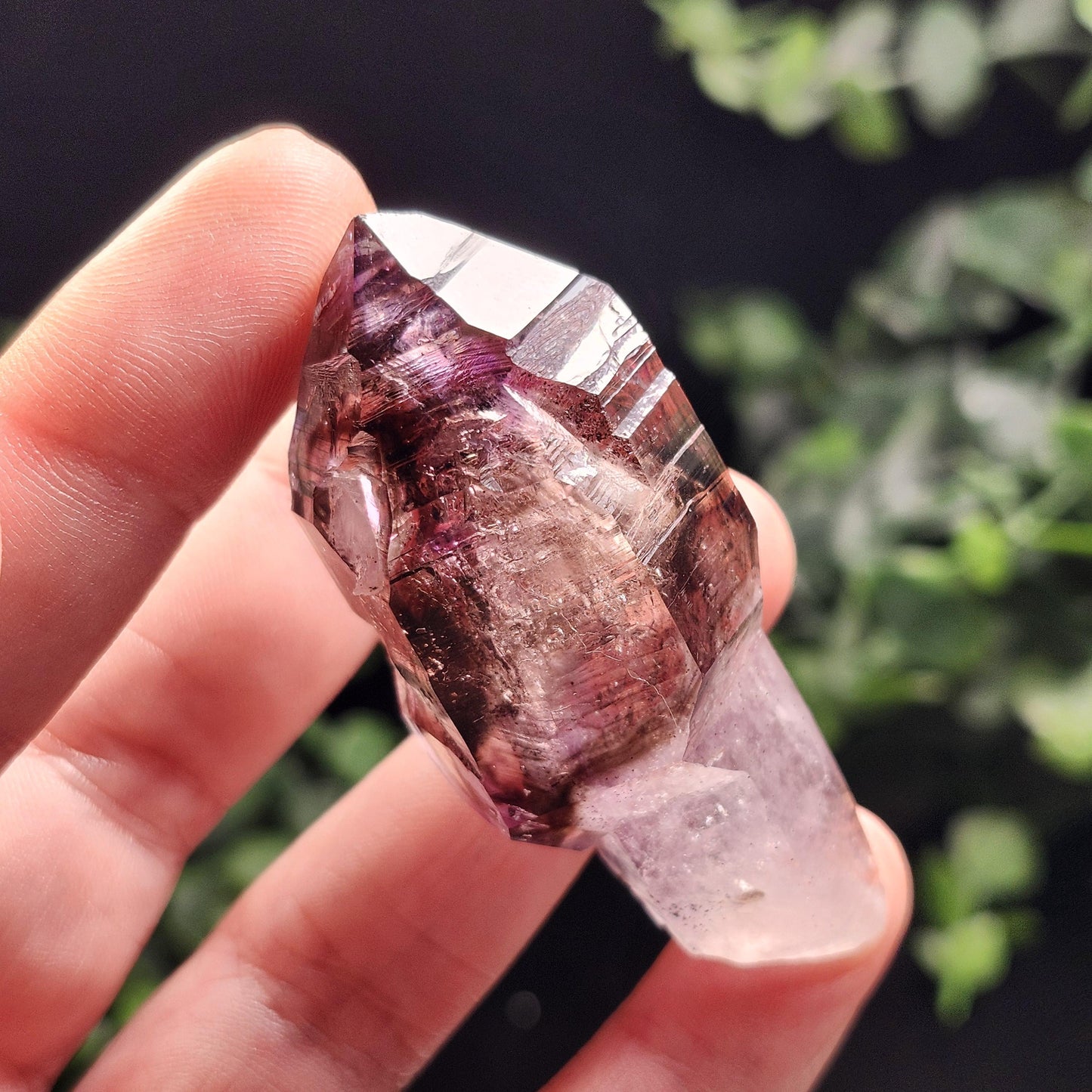 ENHYDRO Scepter Amethyst