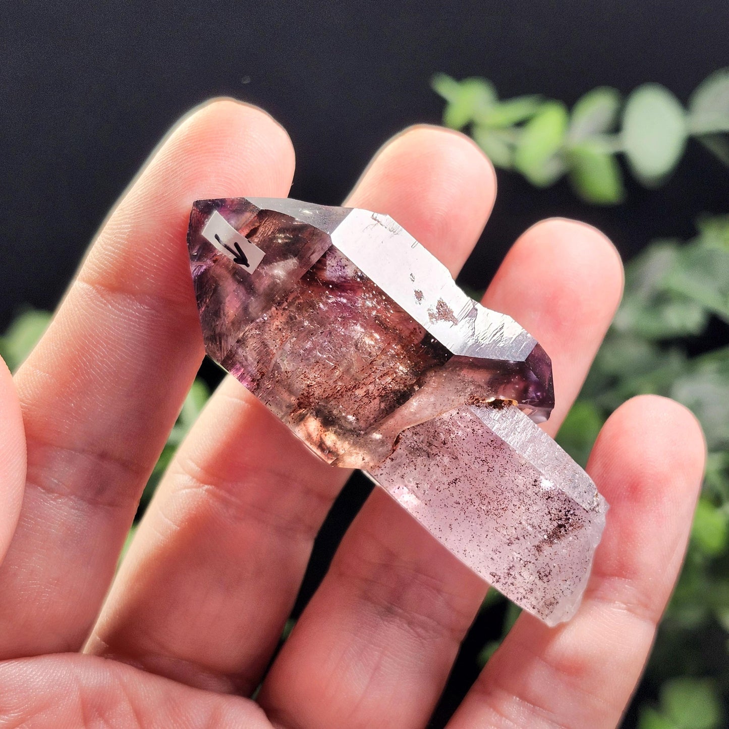 ENHYDRO Scepter Amethyst