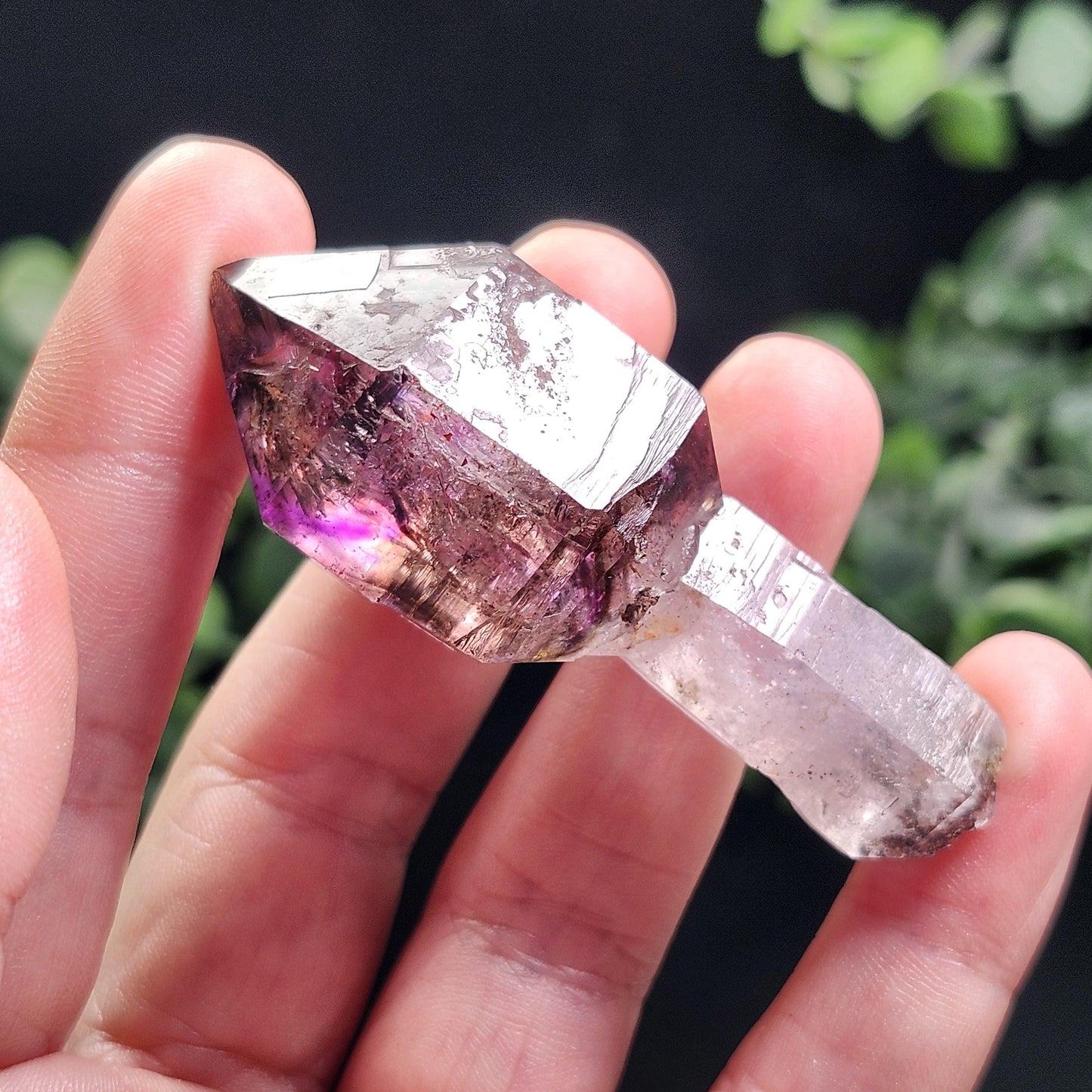 ENHYDRO Shangaan Scepter Amethyst