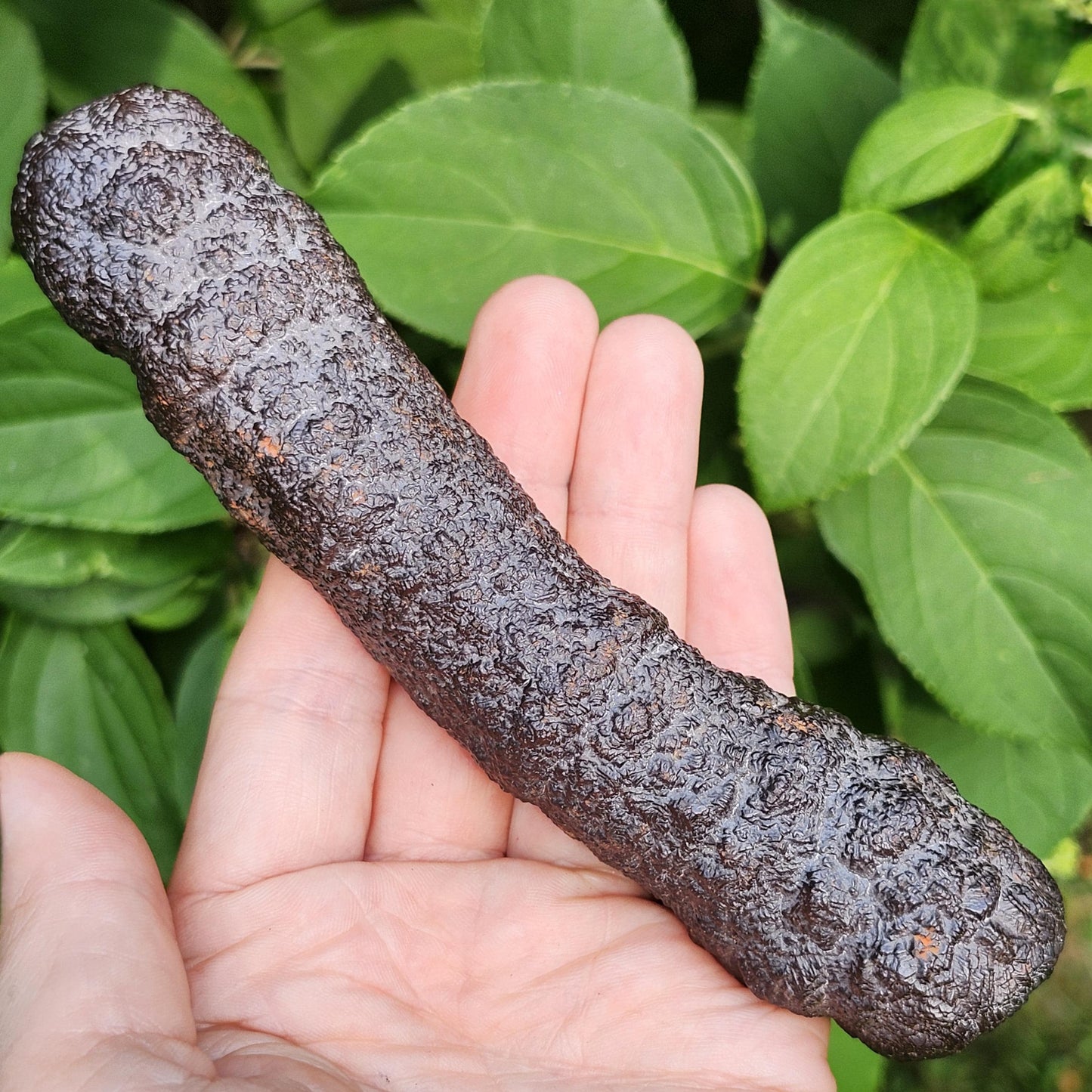 HUGE Angel Chime Prophecy Stone 319g