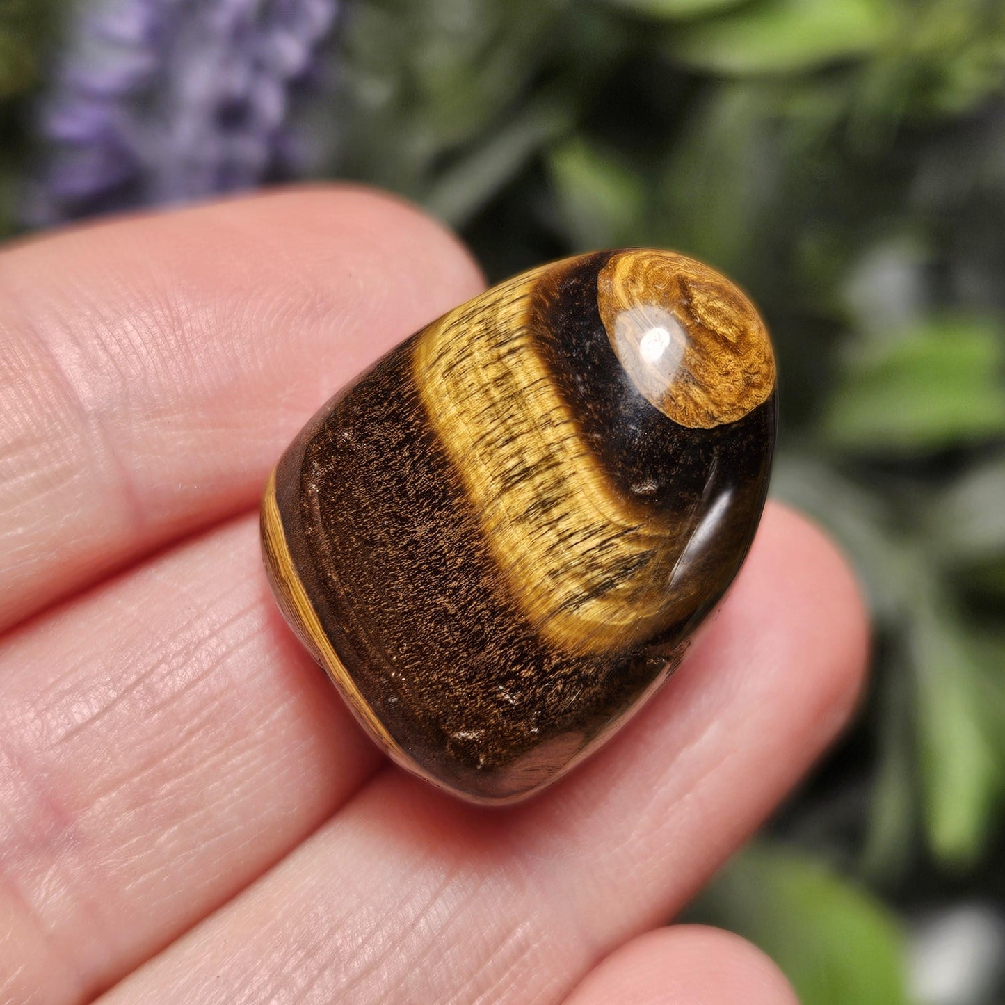 Tigers Eye Tumbled Stone