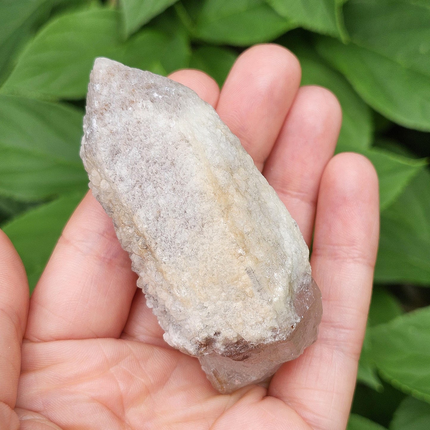 Dreamsicle Pink Lemurian Quartz 91g
