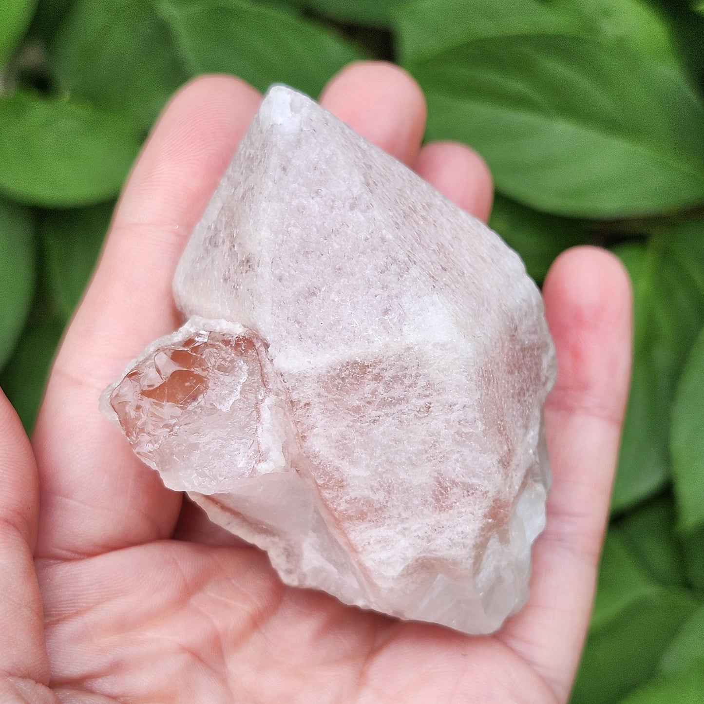 Dreamsicle Pink Lemurian Quartz 158g