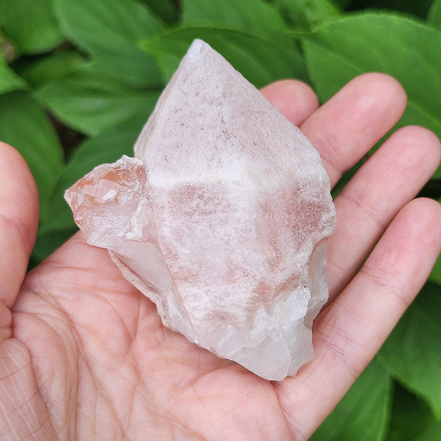 Dreamsicle Pink Lemurian Quartz 158g