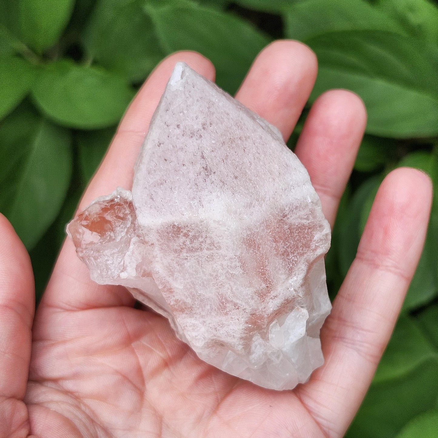 Dreamsicle Pink Lemurian Quartz 158g