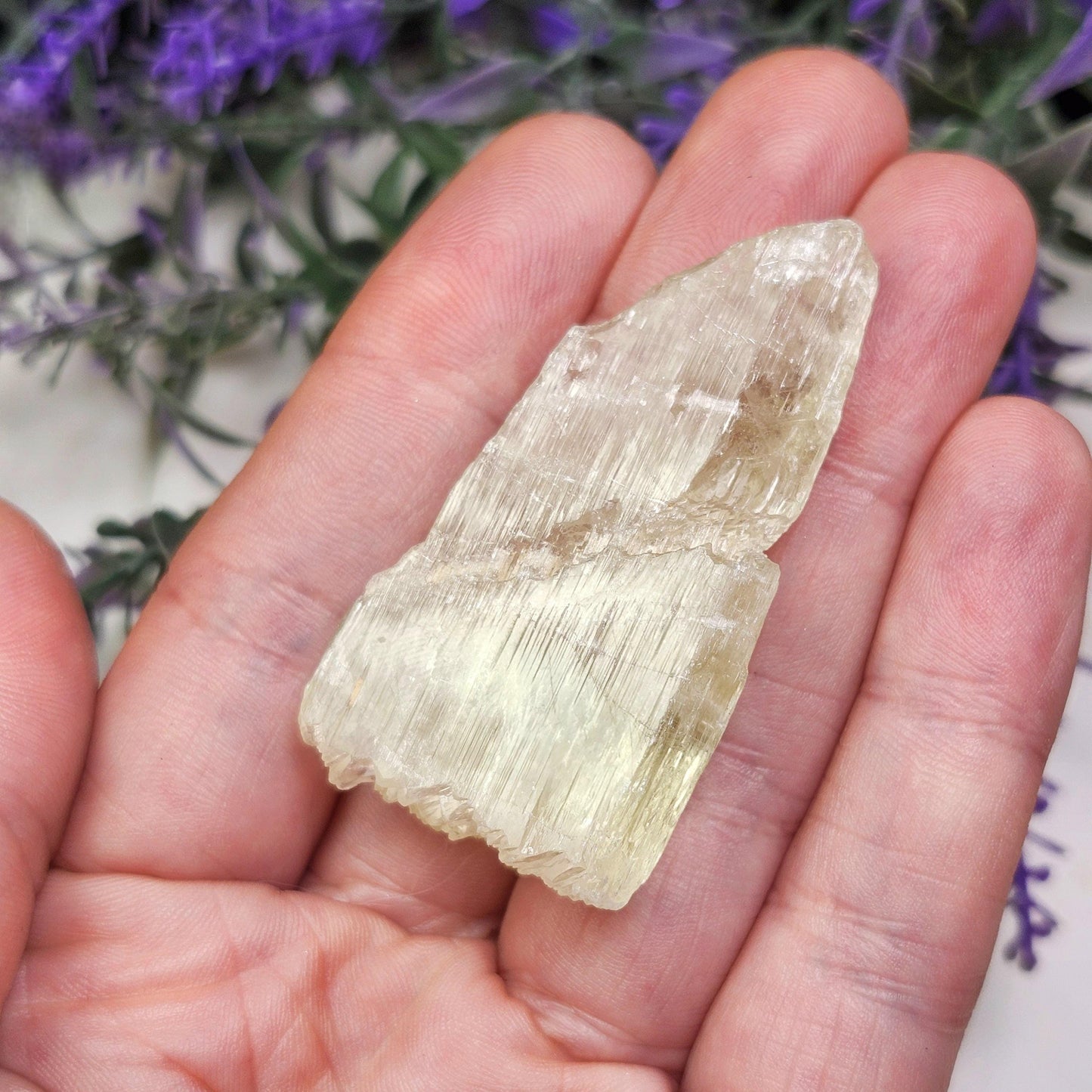 Golden Kunzite Terminated Crystal 24g
