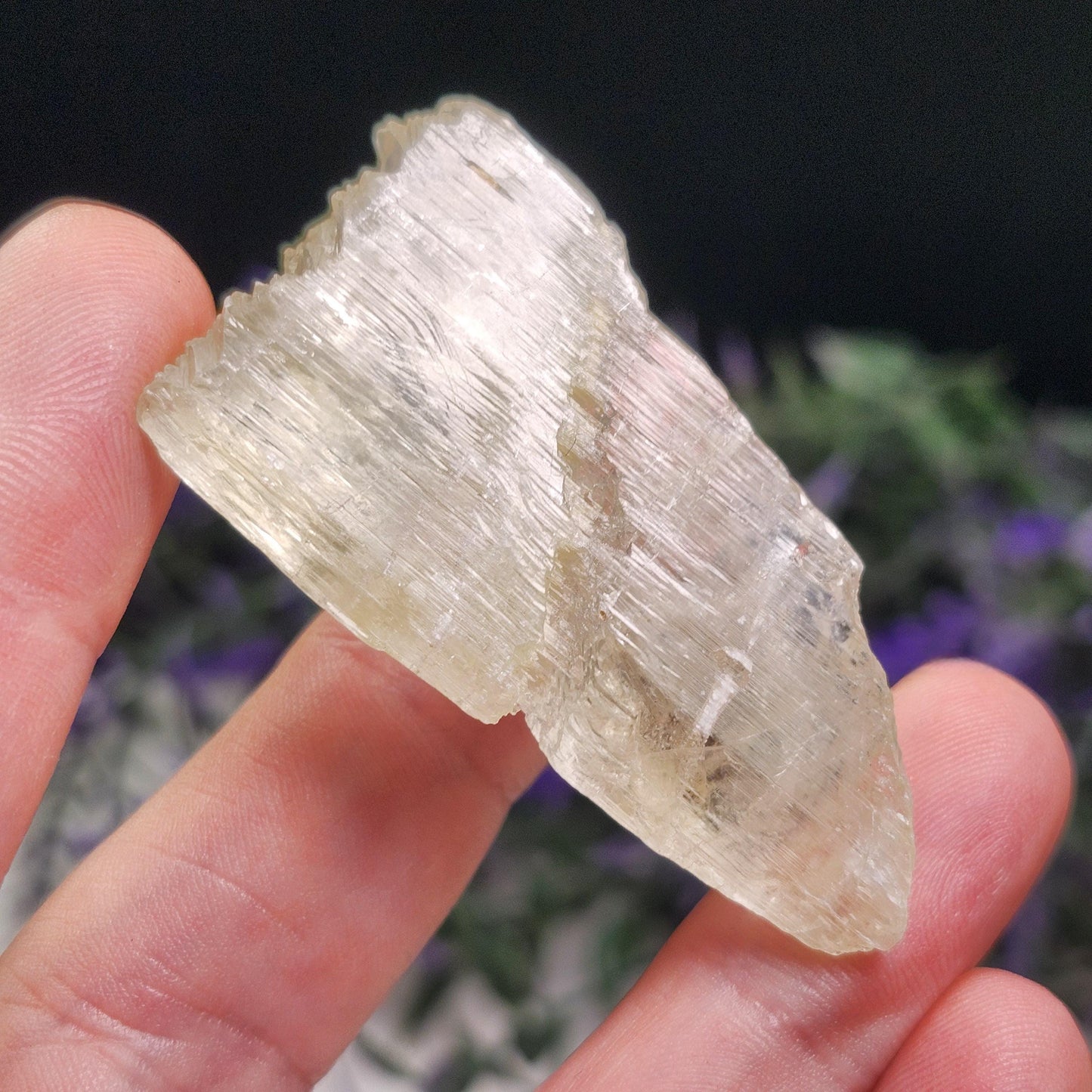 Golden Kunzite Terminated Crystal 24g