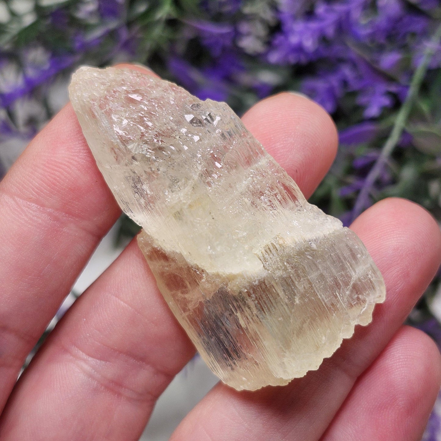 Golden Kunzite Terminated Crystal 24g