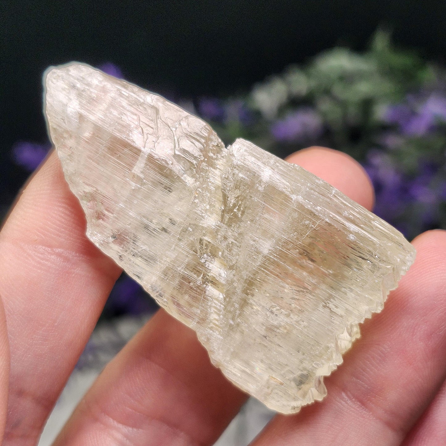 Golden Kunzite Terminated Crystal 24g