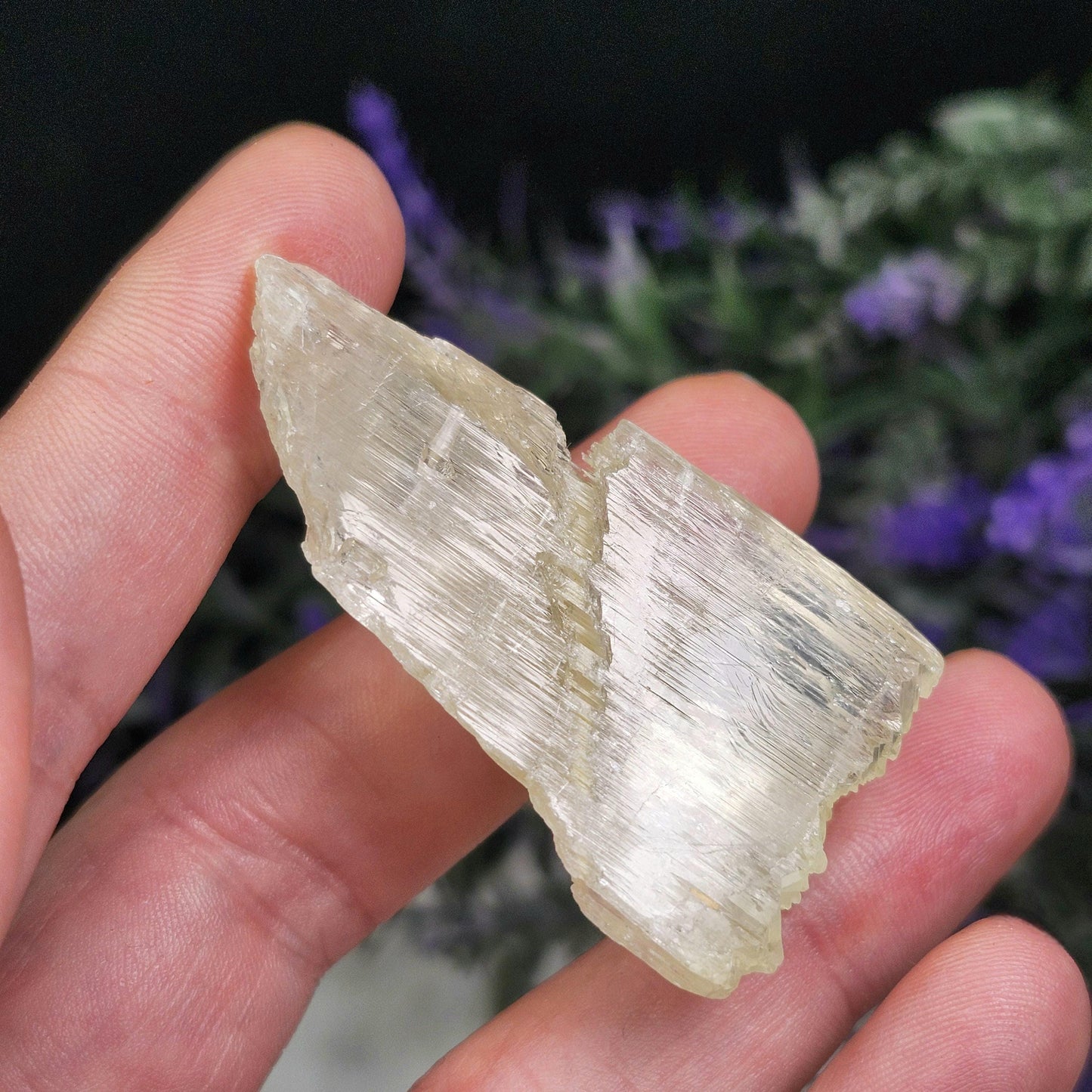 Golden Kunzite Terminated Crystal 24g