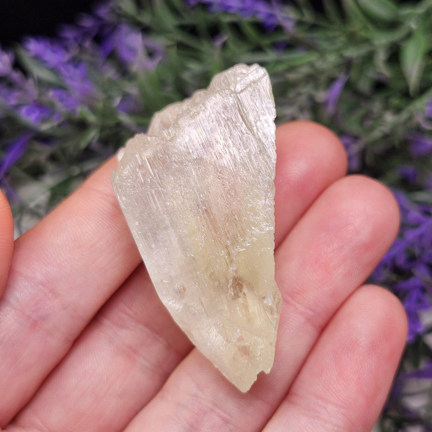Golden Kunzite Crystal