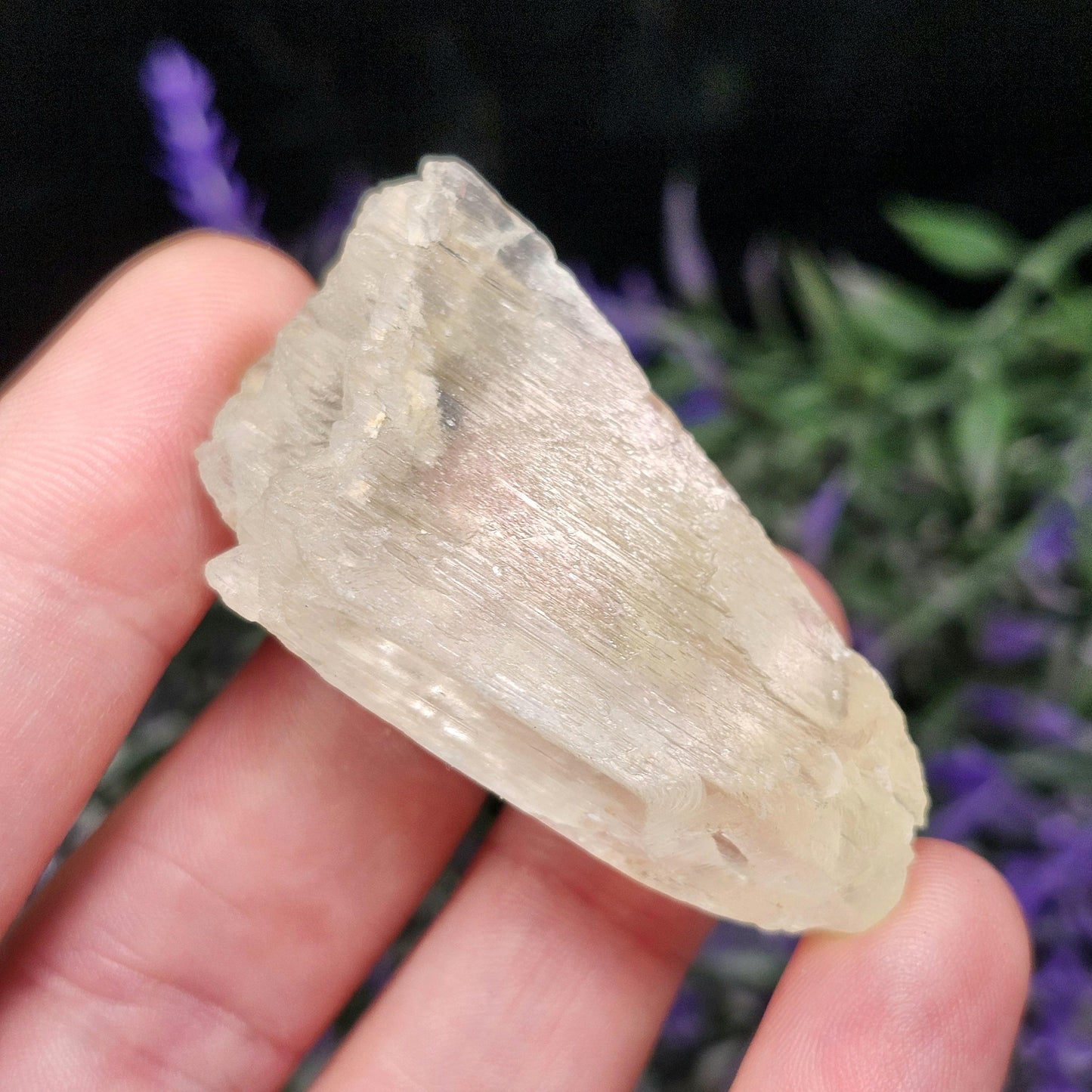 Golden Kunzite Crystal