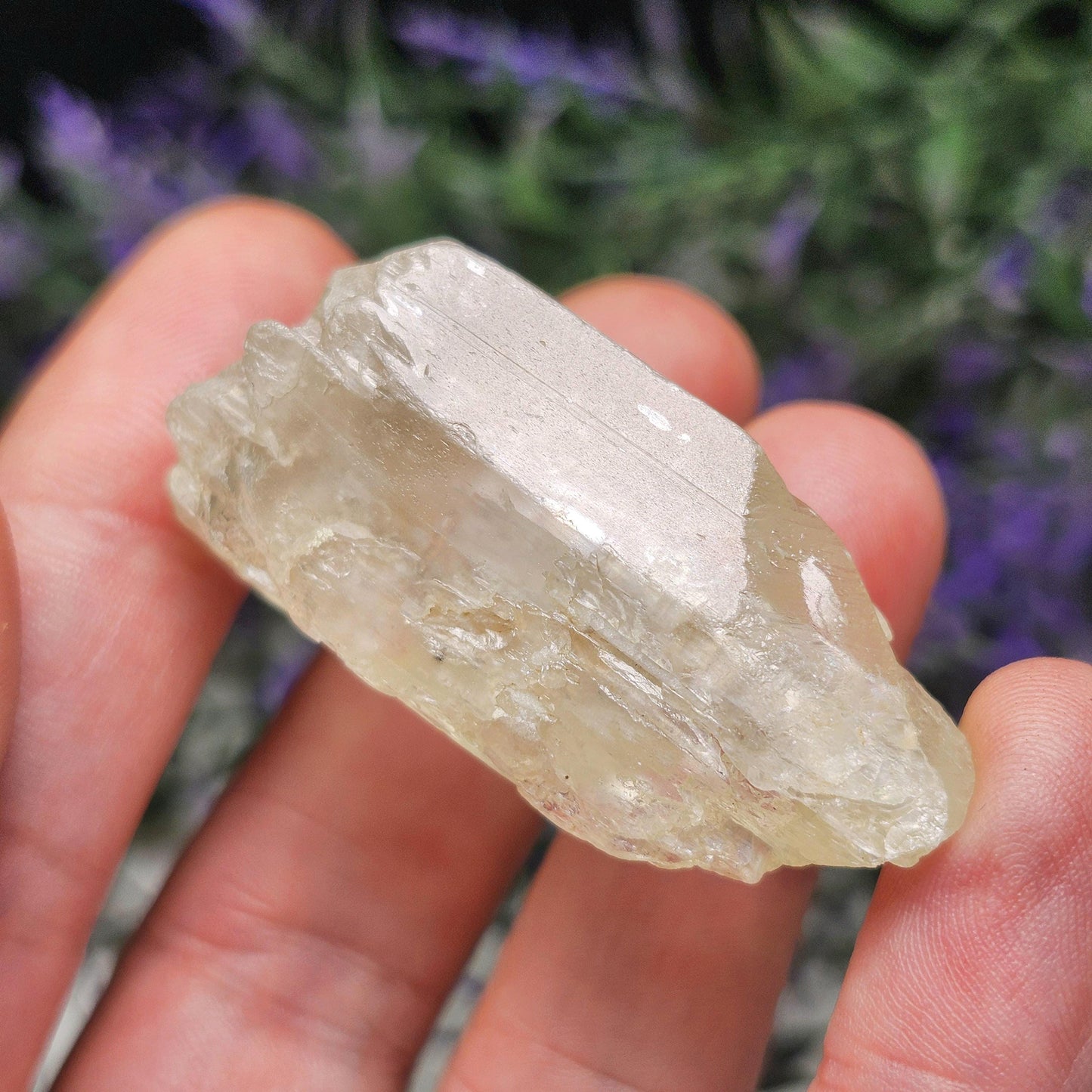 Golden Kunzite Crystal