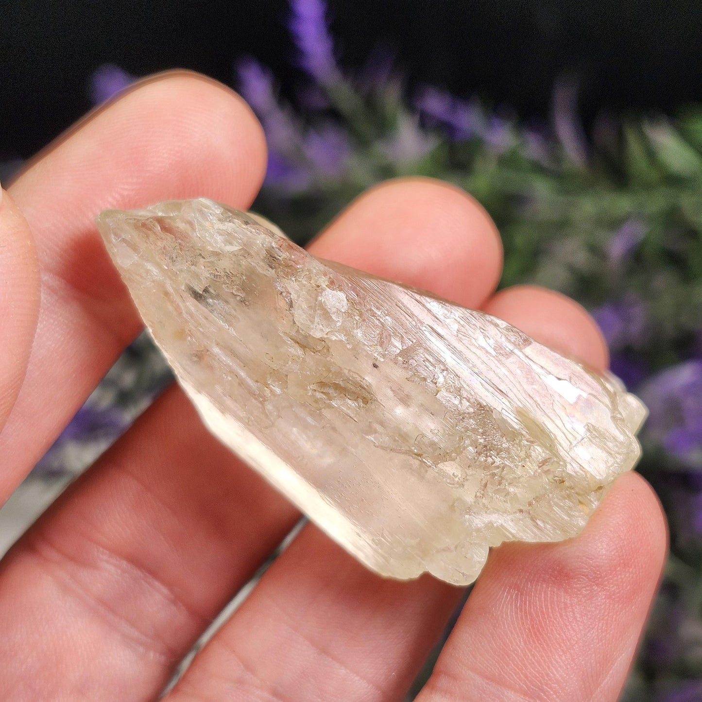 Golden Kunzite Crystal