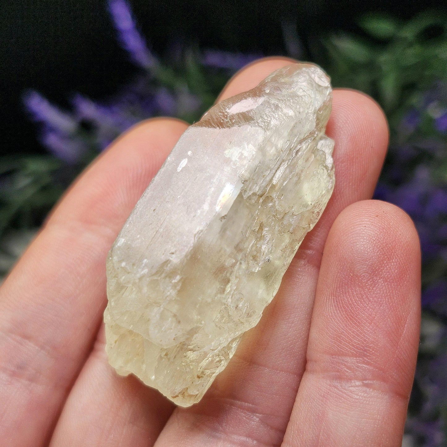 Golden Kunzite Crystal