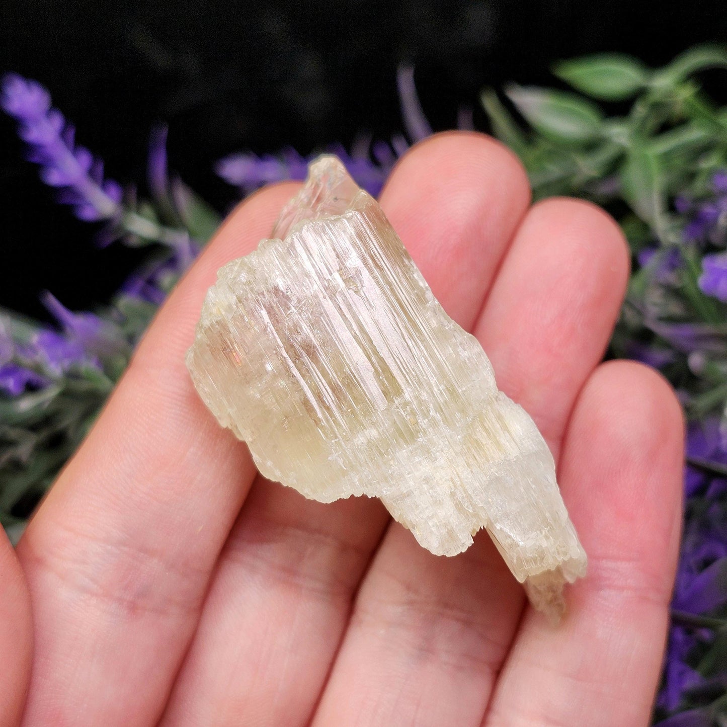 Etched Yellow Kunzite Crystal
