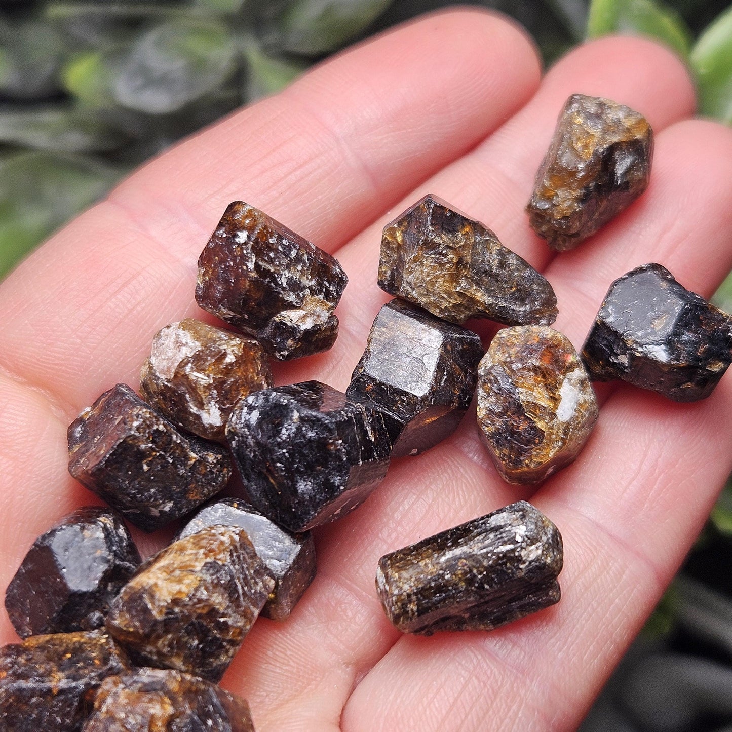 Raw Rootbeer Tourmaline