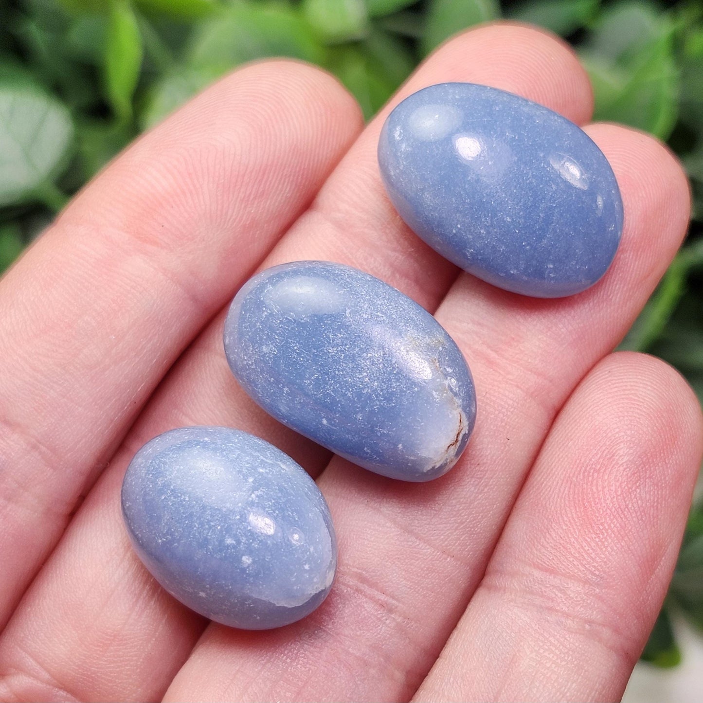 Angelite Crystal