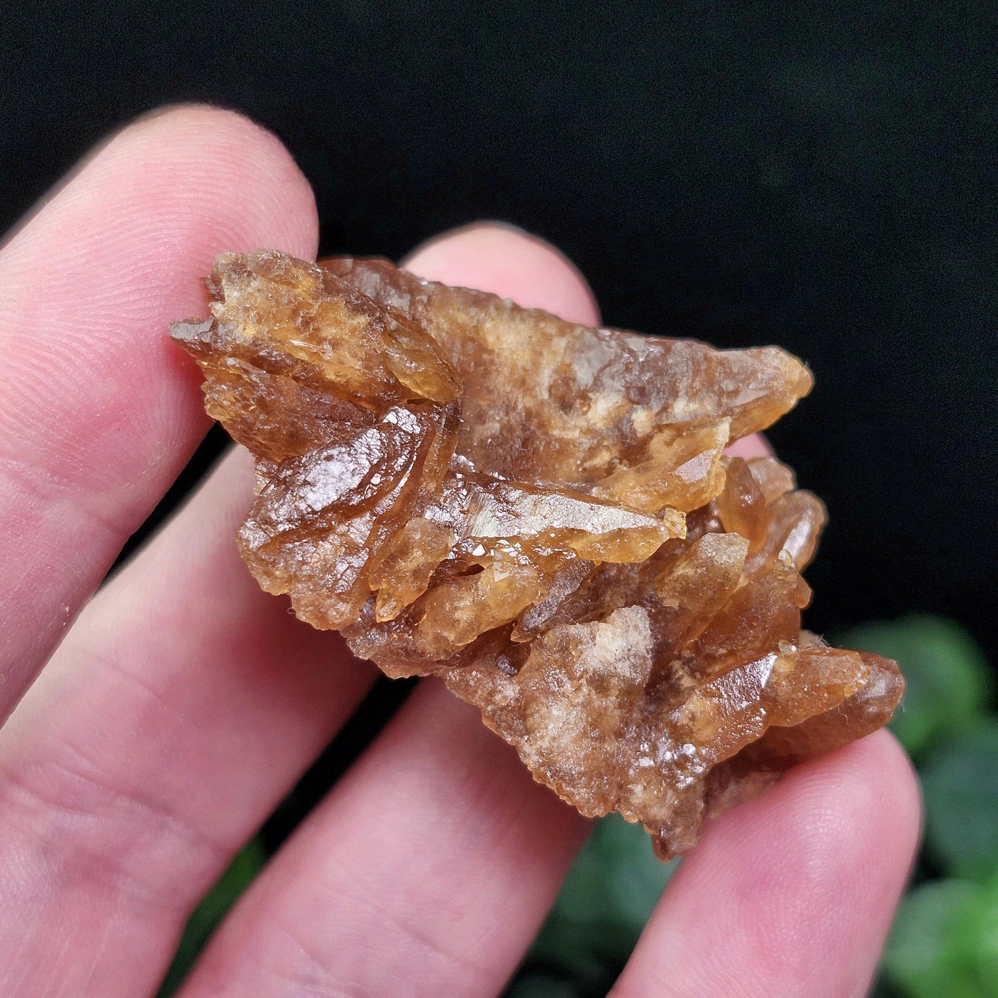 Raw Untreated Citrine Cluster