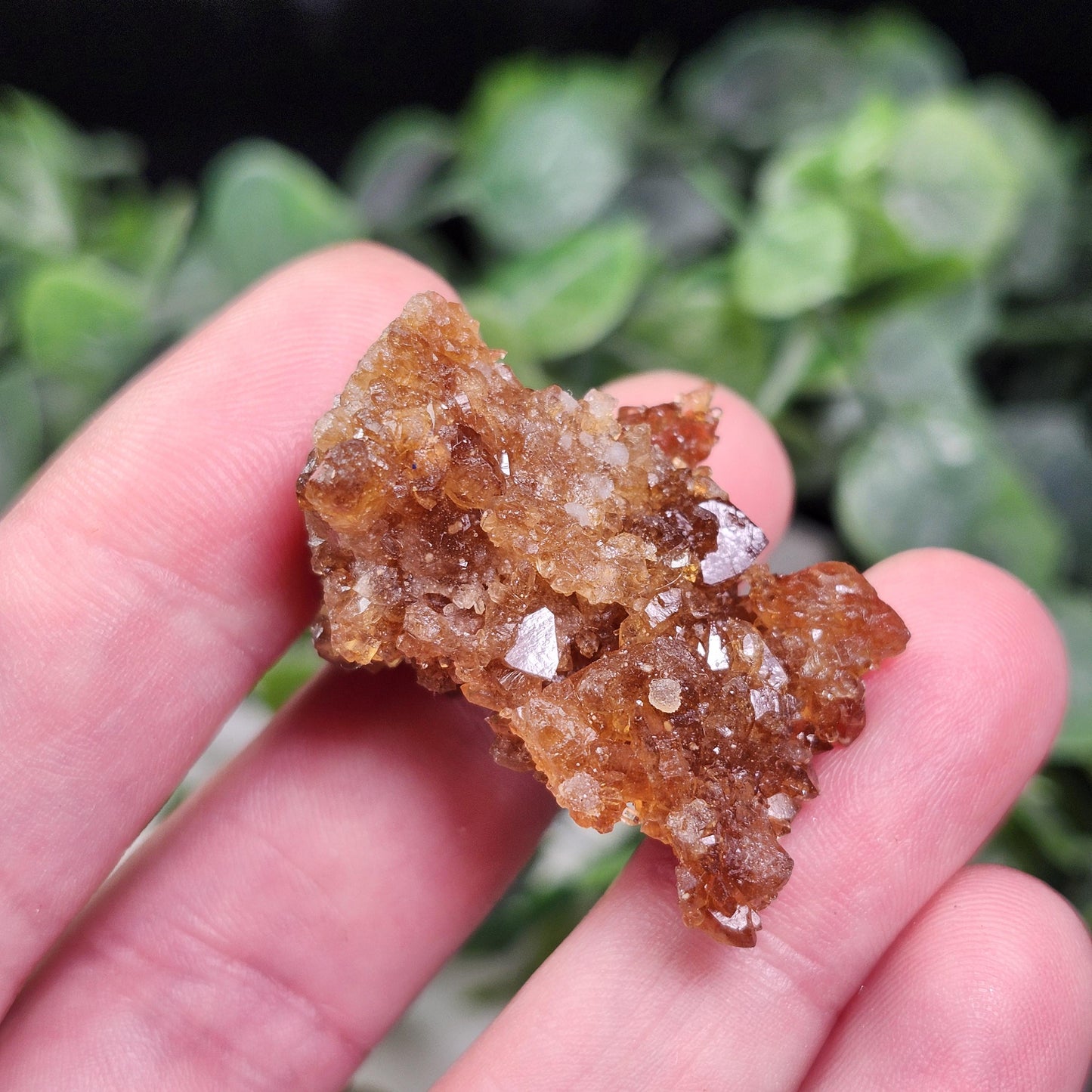 Raw Untreated Citrine Cluster
