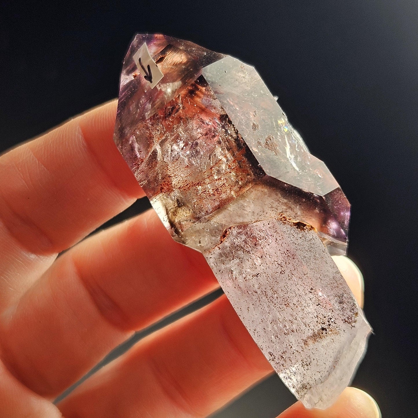 ENHYDRO Scepter Amethyst
