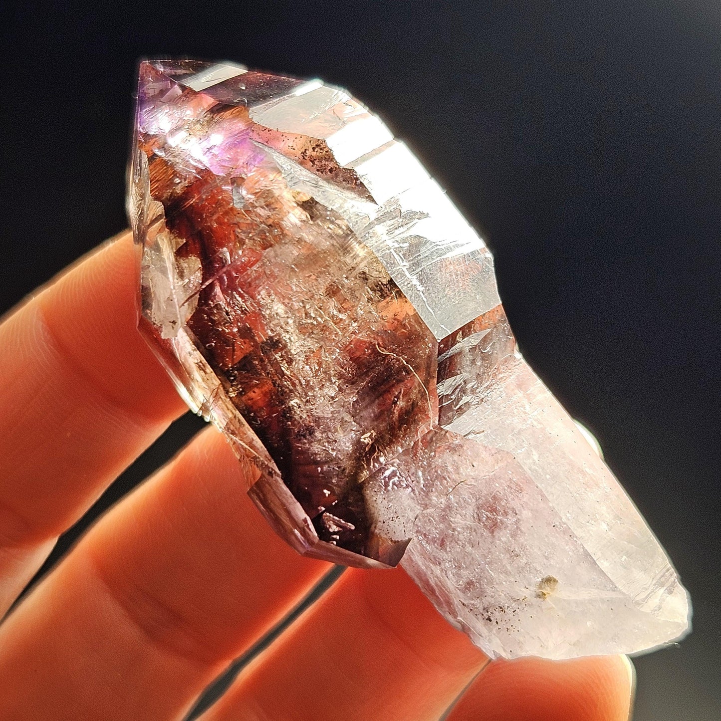 ENHYDRO Scepter Amethyst