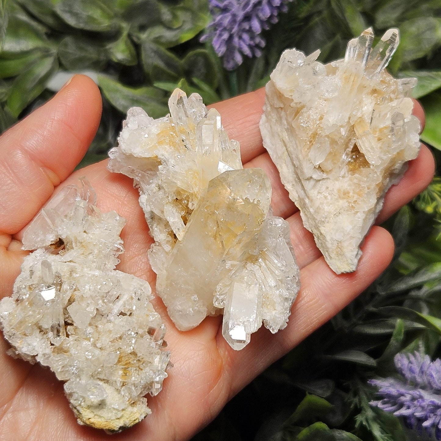 Lemurian Quartz Cluster