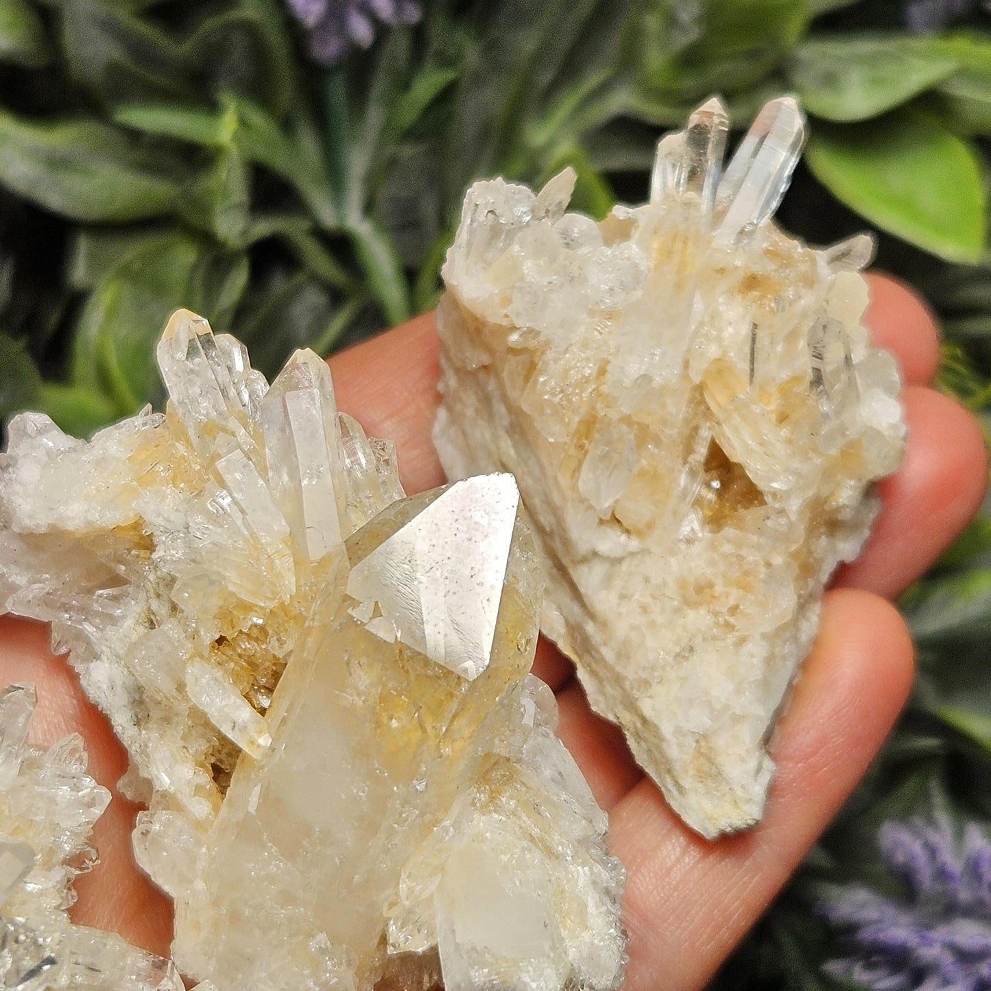 Lemurian Quartz Cluster