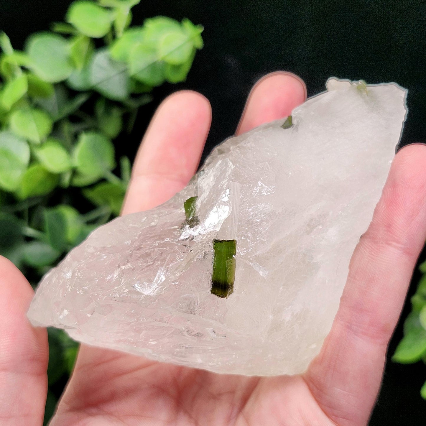 Green Tourmaline in Quartz Crystal
