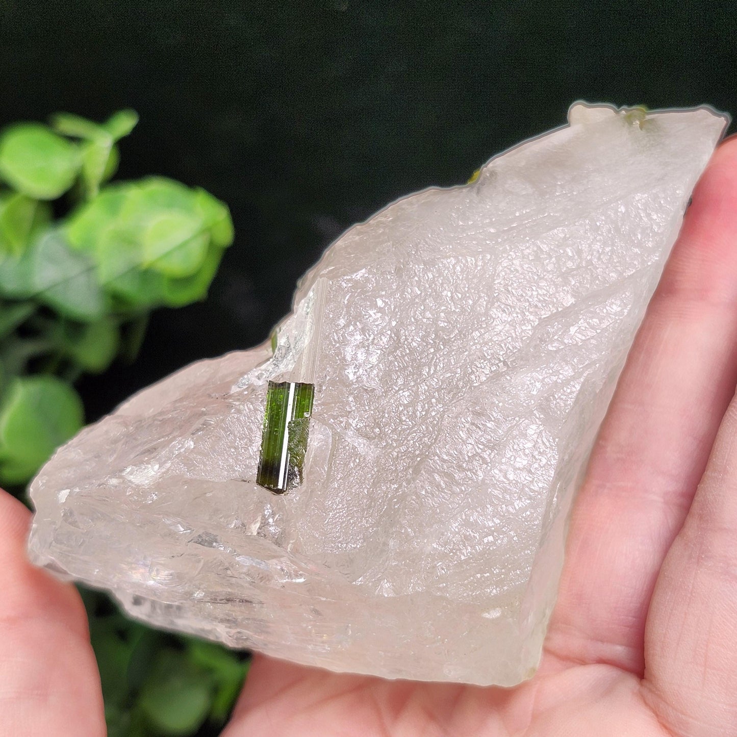 Green Tourmaline in Quartz Crystal