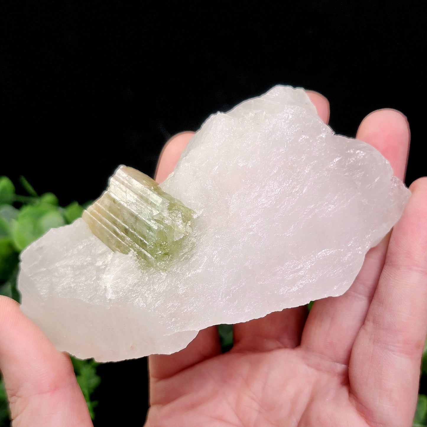 Watermelon Tourmaline & Quartz Crystal 203g