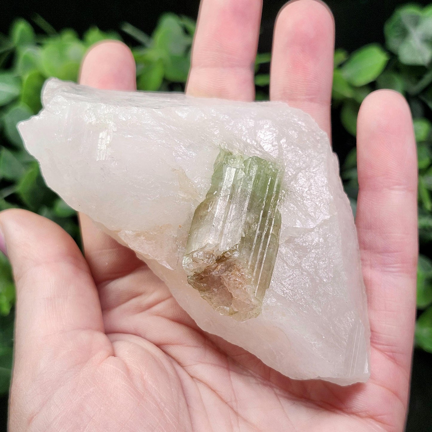 Watermelon Tourmaline & Quartz Crystal 203g