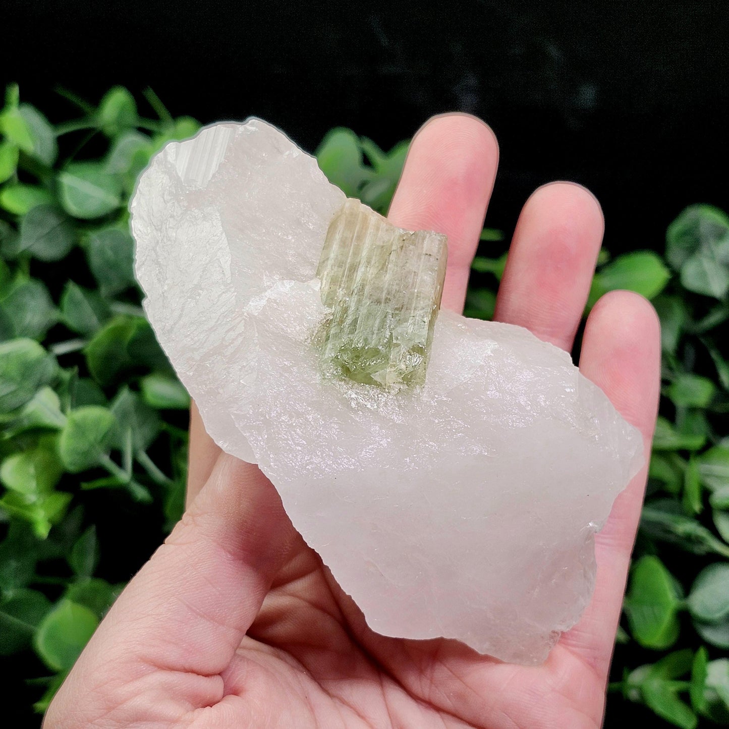 Watermelon Tourmaline & Quartz Crystal 203g