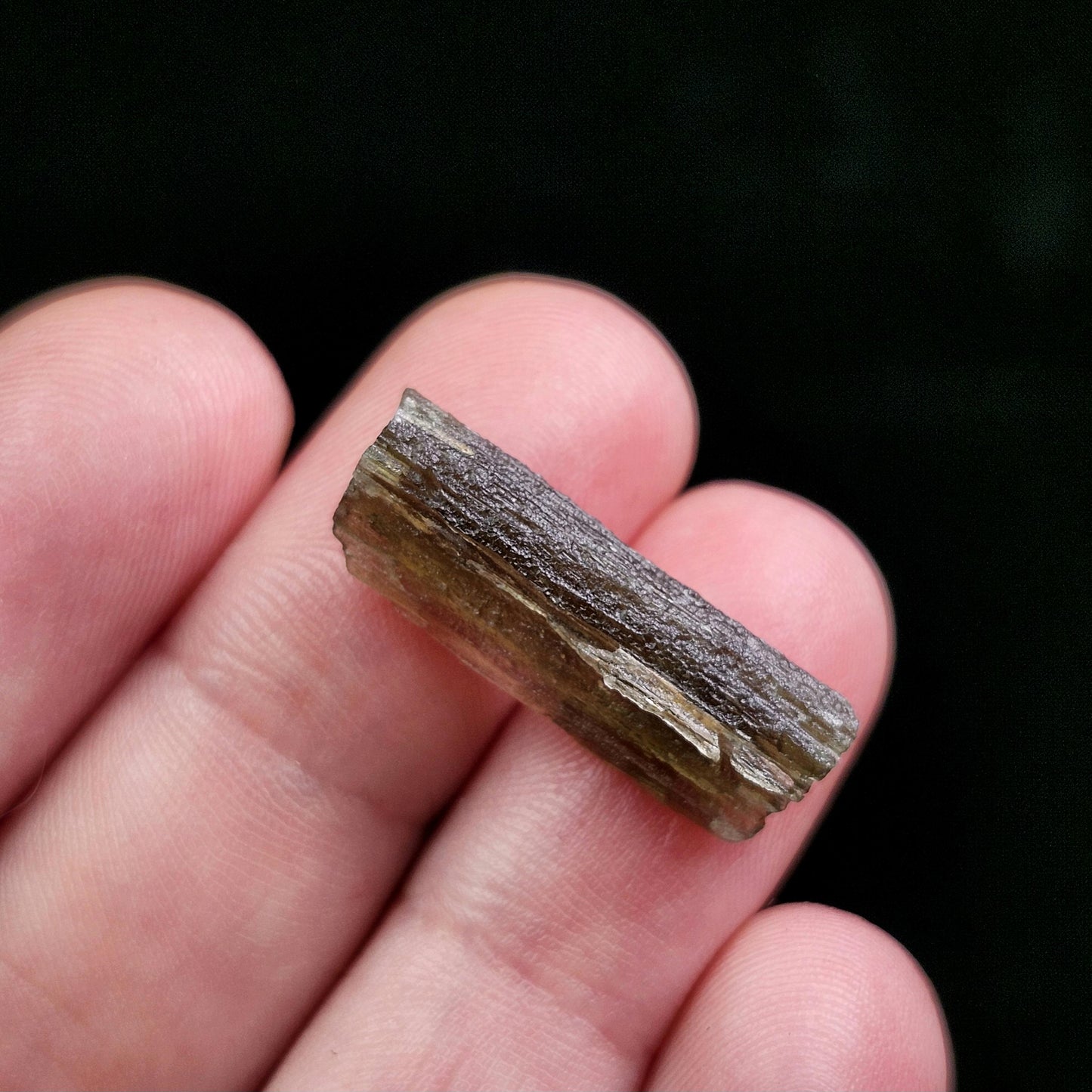 Moldavite Specimen 1.4g