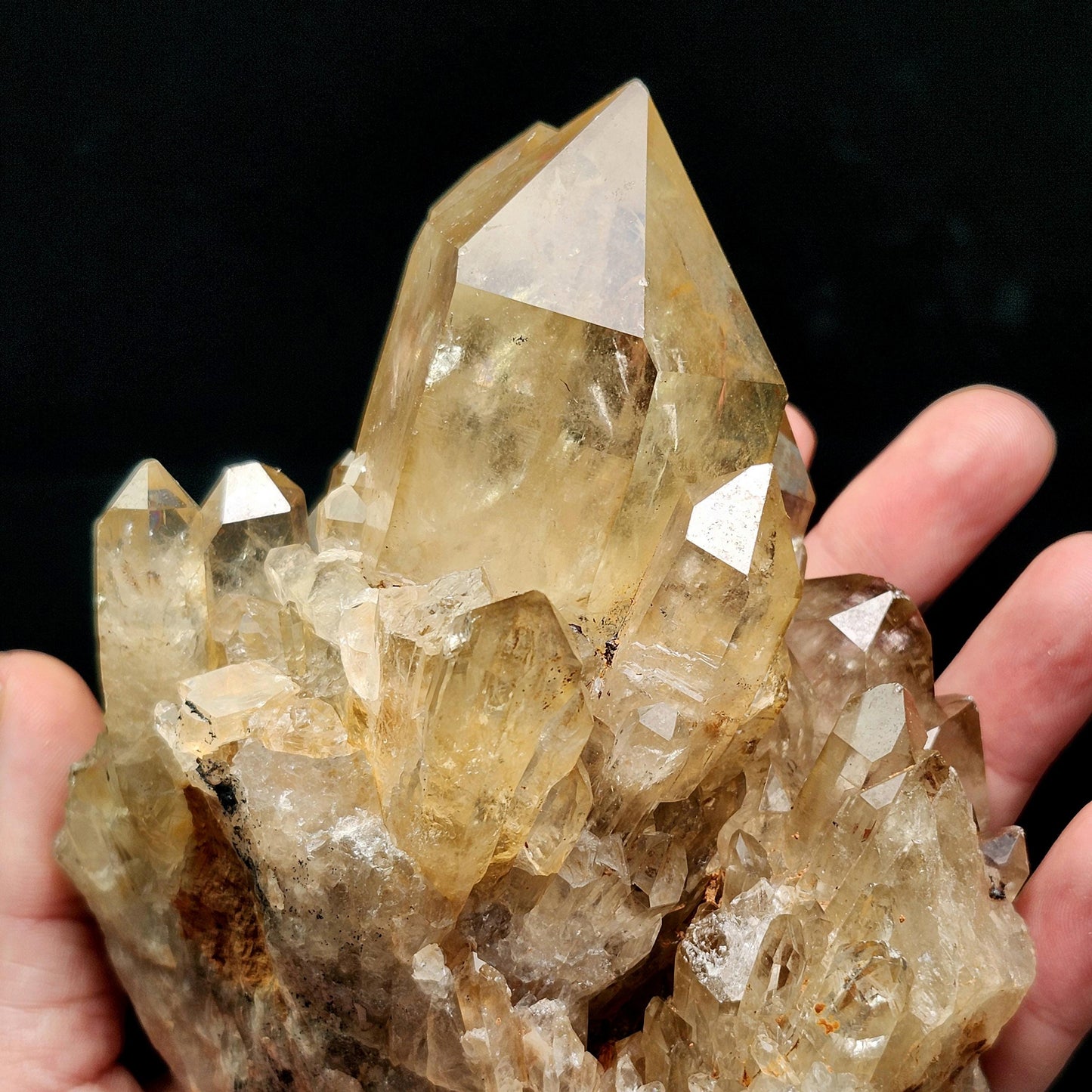 HUGE Kundalini Citrine 1.6lb