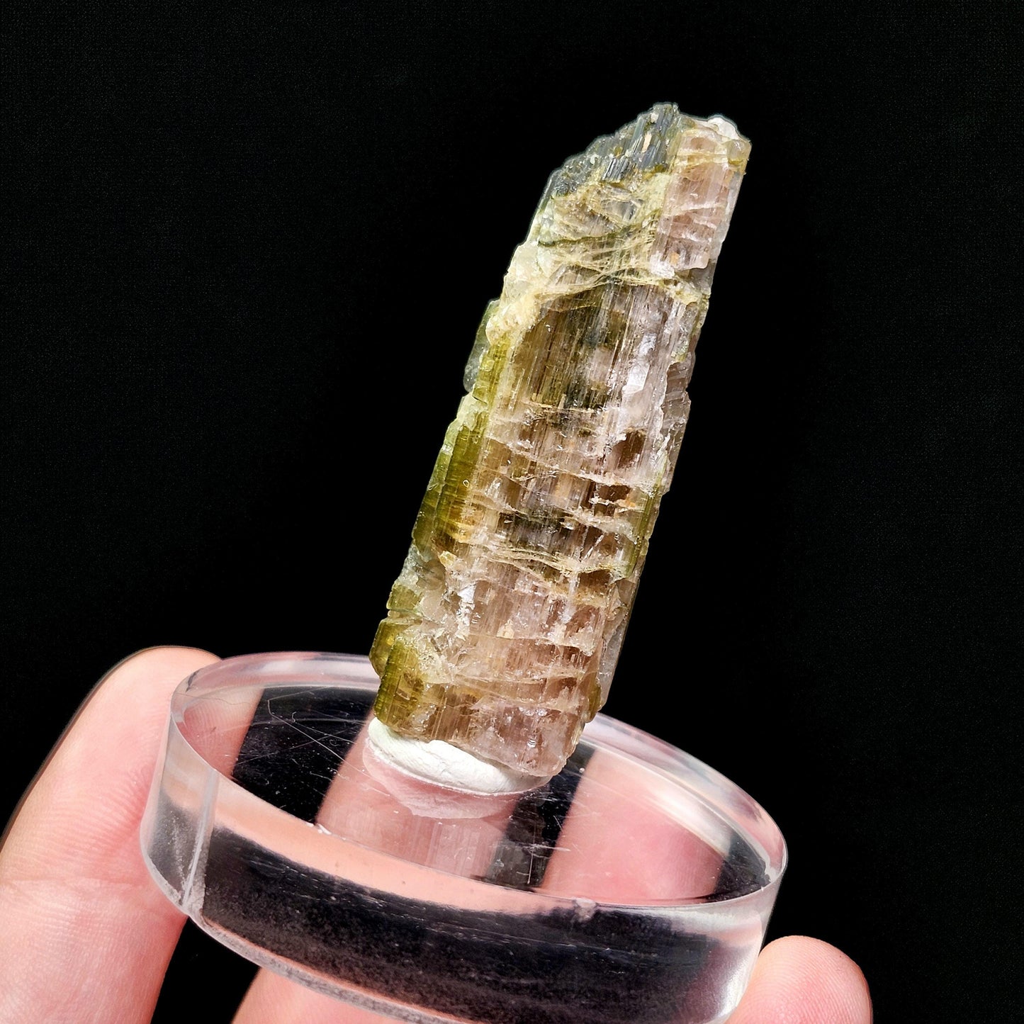 Watermelon Tourmaline Crystal 24g