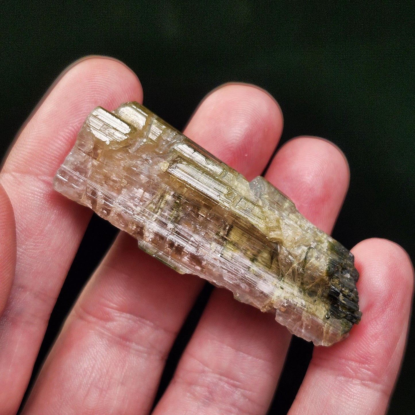 Watermelon Tourmaline Crystal 24g