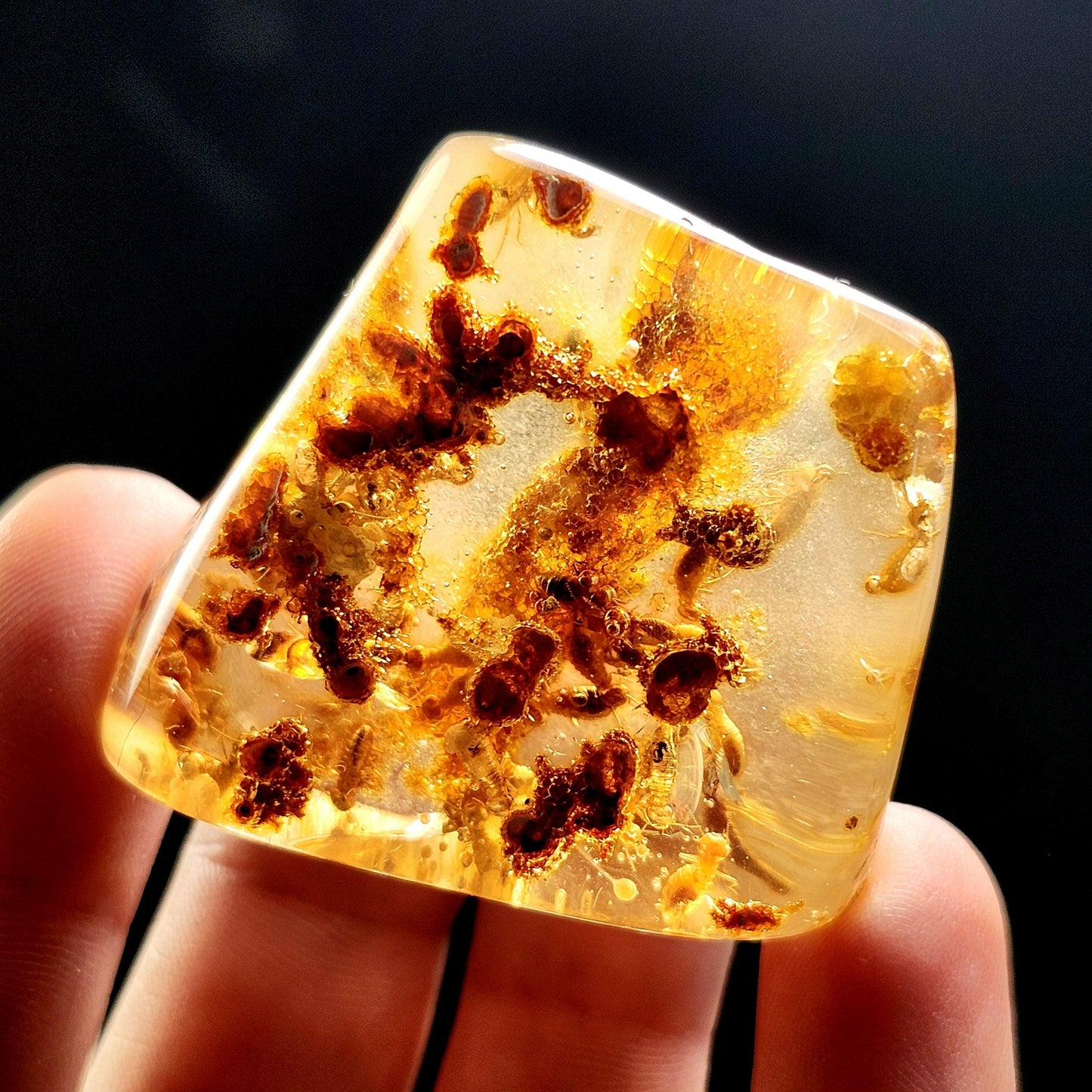 Amber with Bugs & Static ENHYDRO