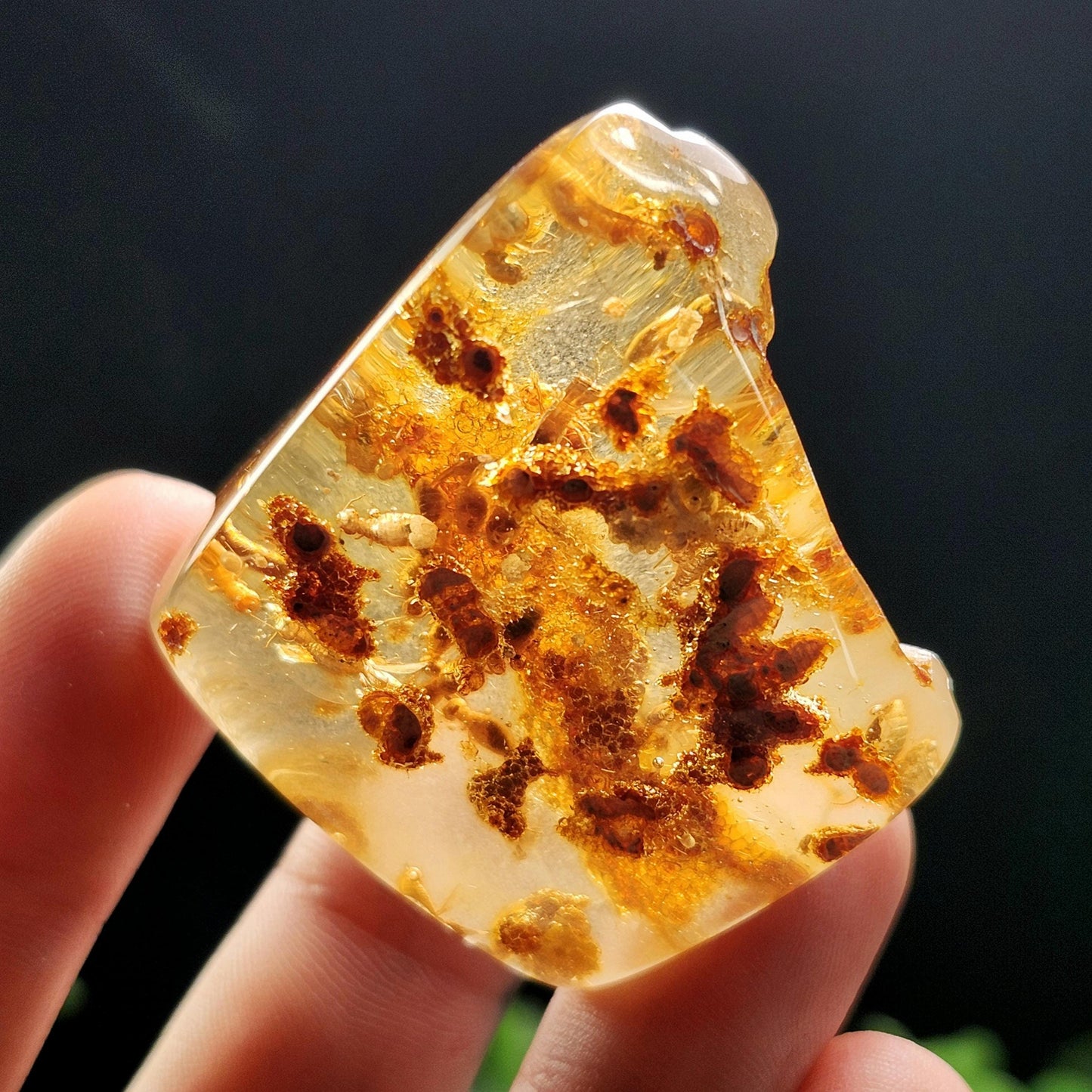 Amber with Bugs & Static ENHYDRO