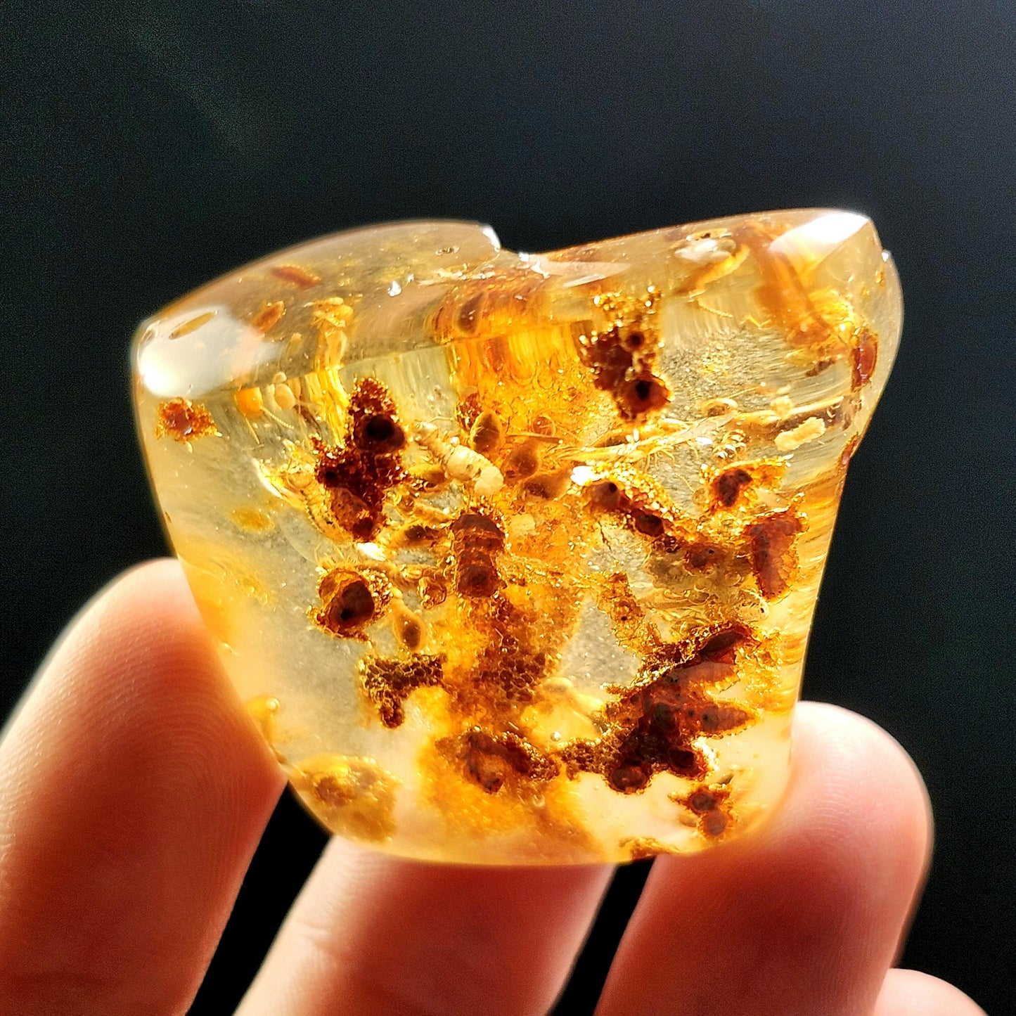 Amber with Bugs & Static ENHYDRO