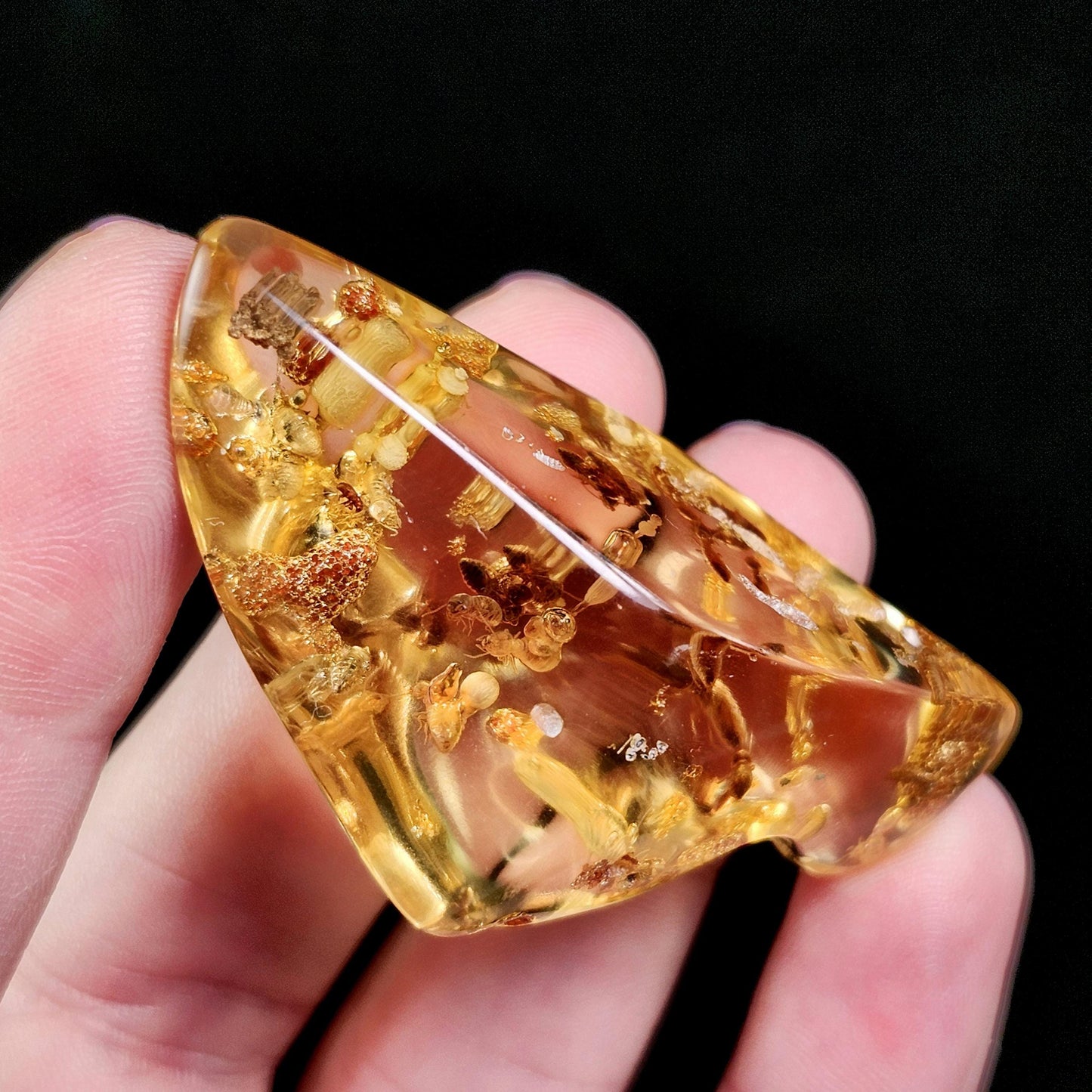 Amber with Bugs & Static ENHYDRO