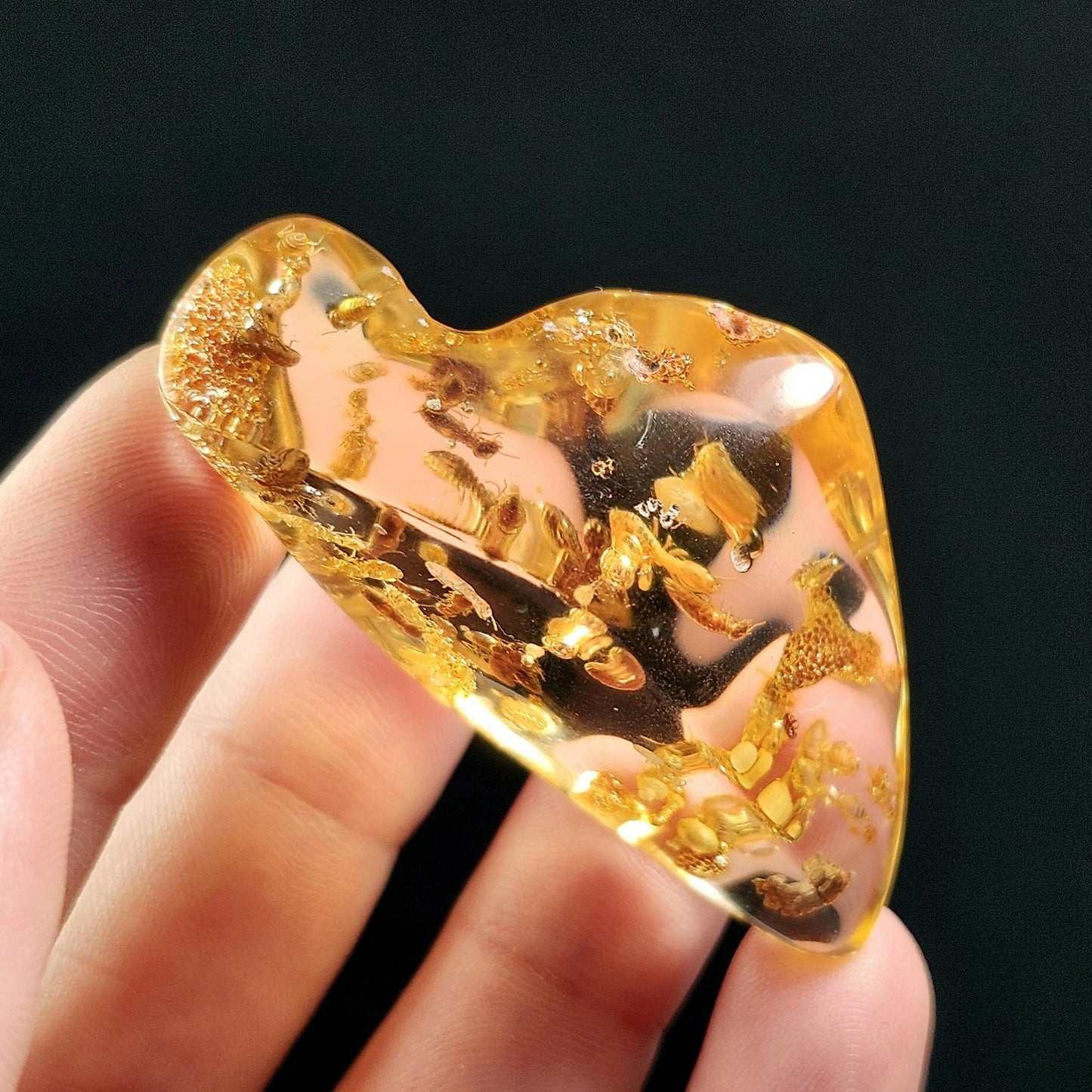 Amber with Bugs & Static ENHYDRO