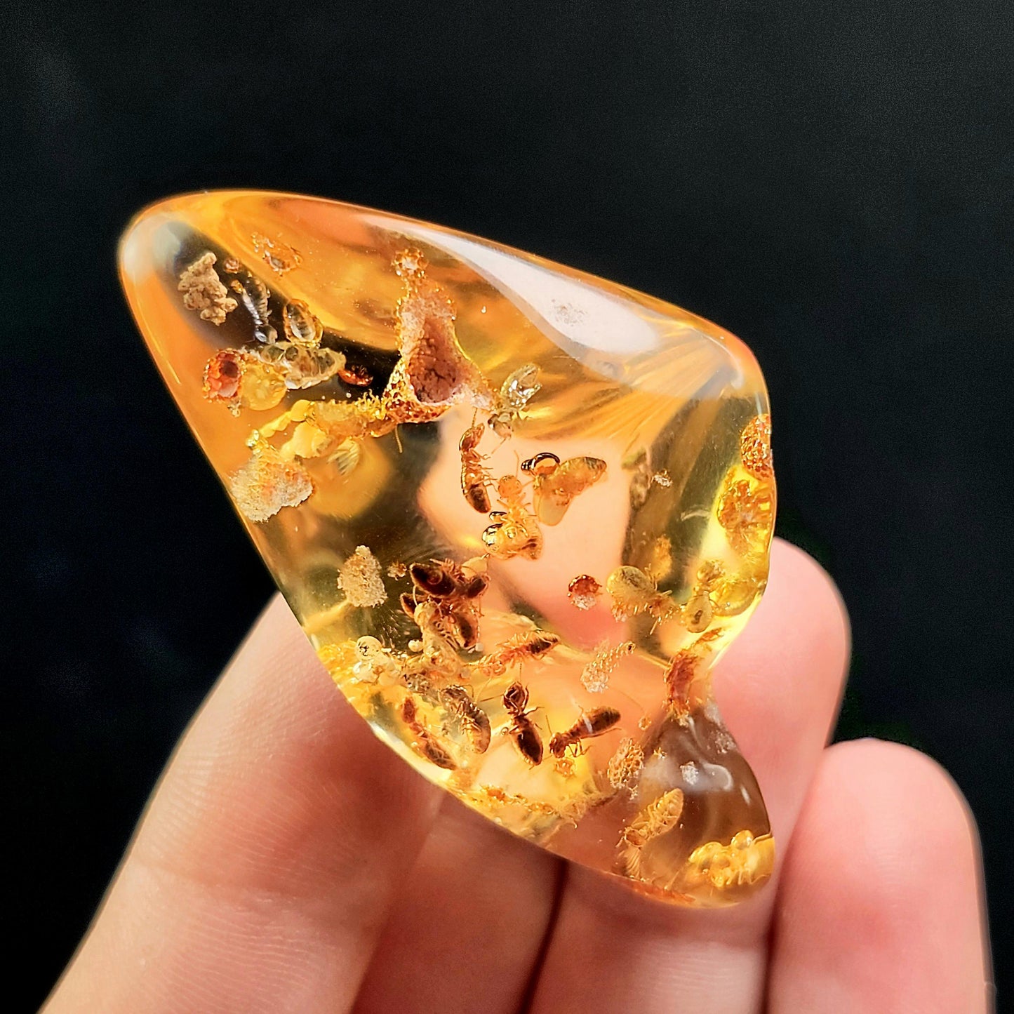 Amber with Bugs & Static ENHYDRO