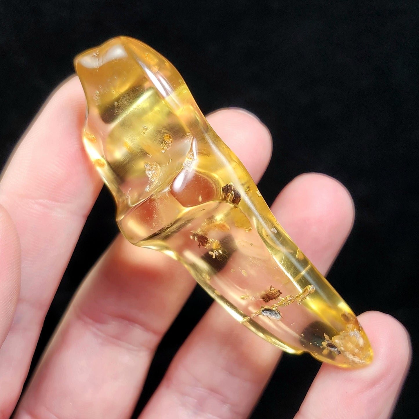 Amber with Bugs & Static ENHYDRO