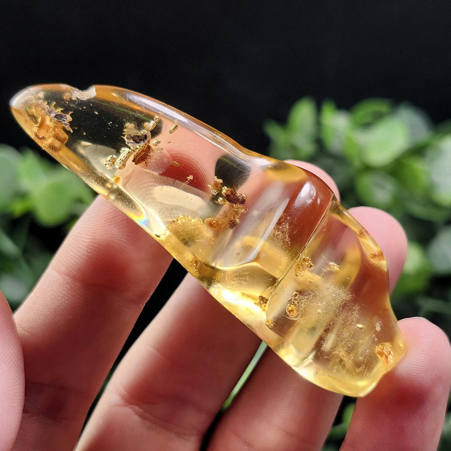 Amber with Bugs & Static ENHYDRO