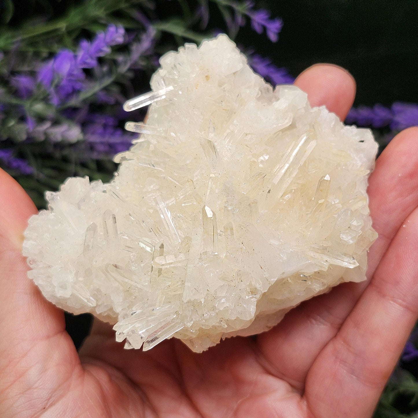 Lemurian Quartz Cluster 205g