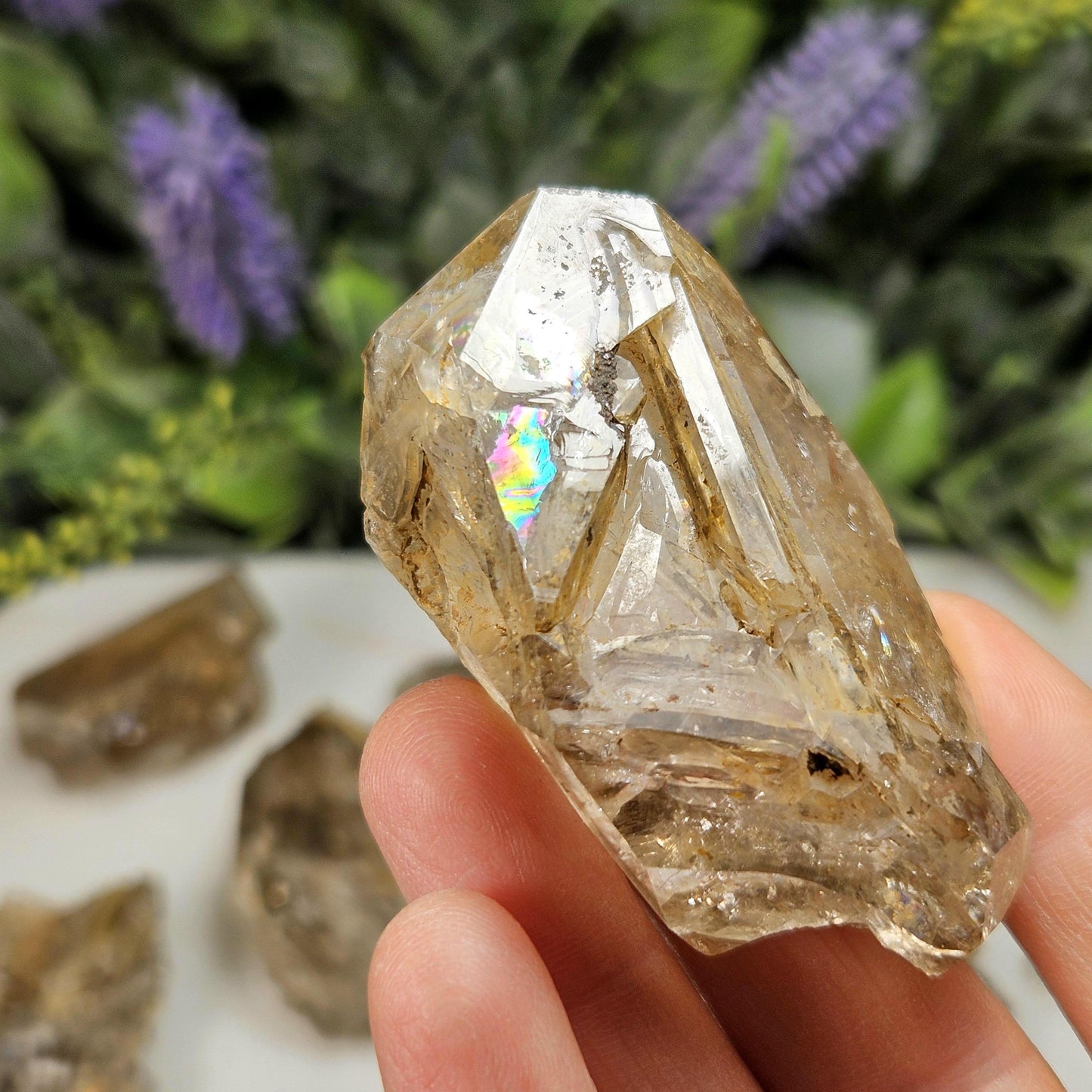 Skeletal Herkimer Diamond Specimen (Direct from the Mine)