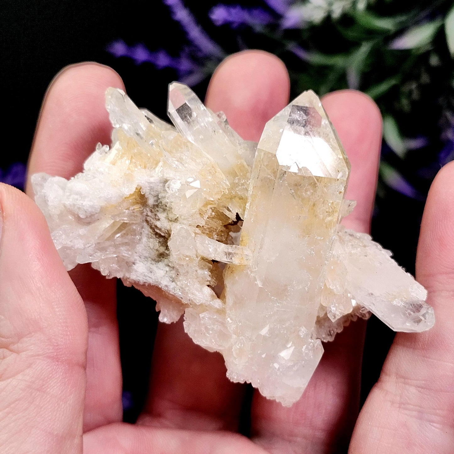 Lemurian Quartz Cluster
