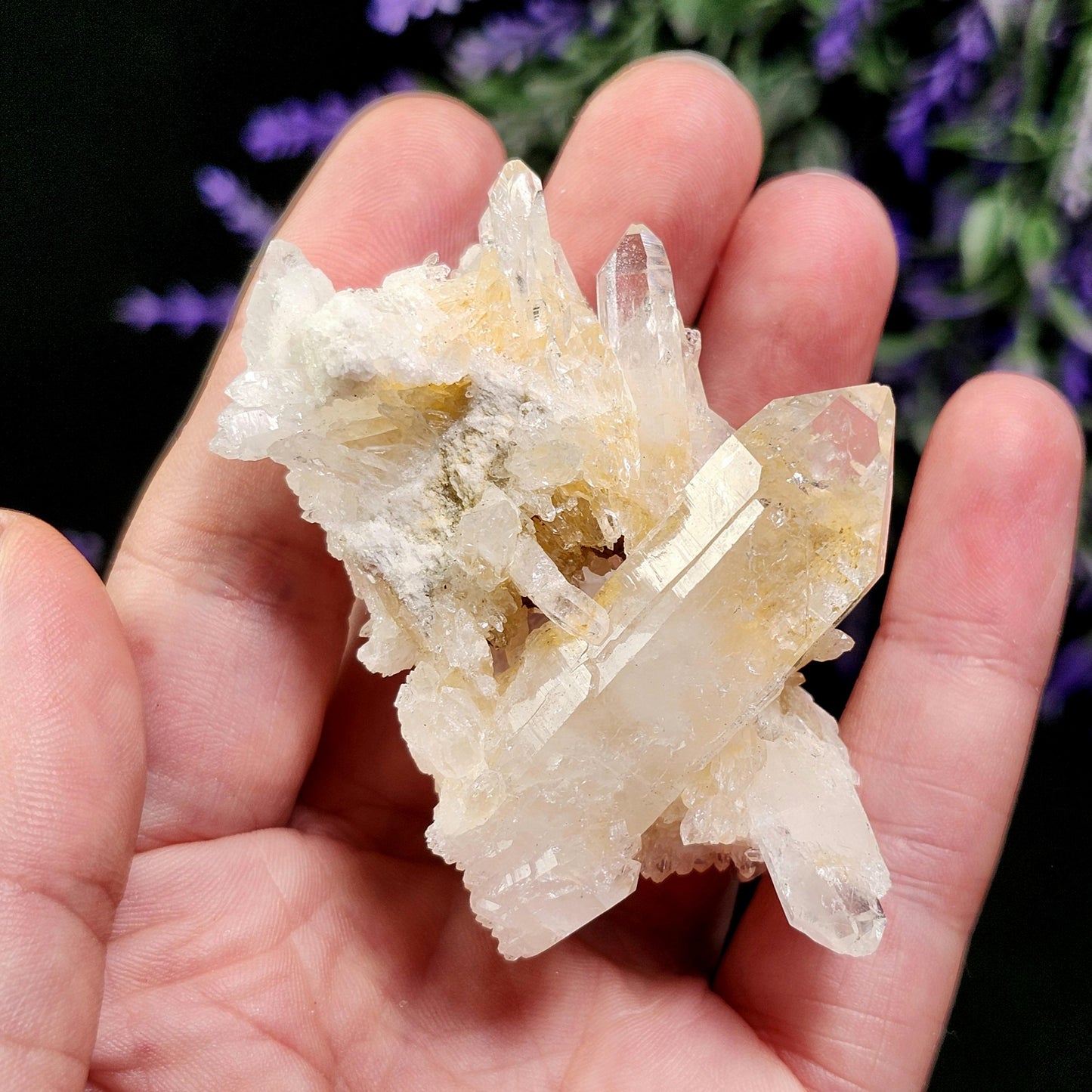 Lemurian Quartz Cluster