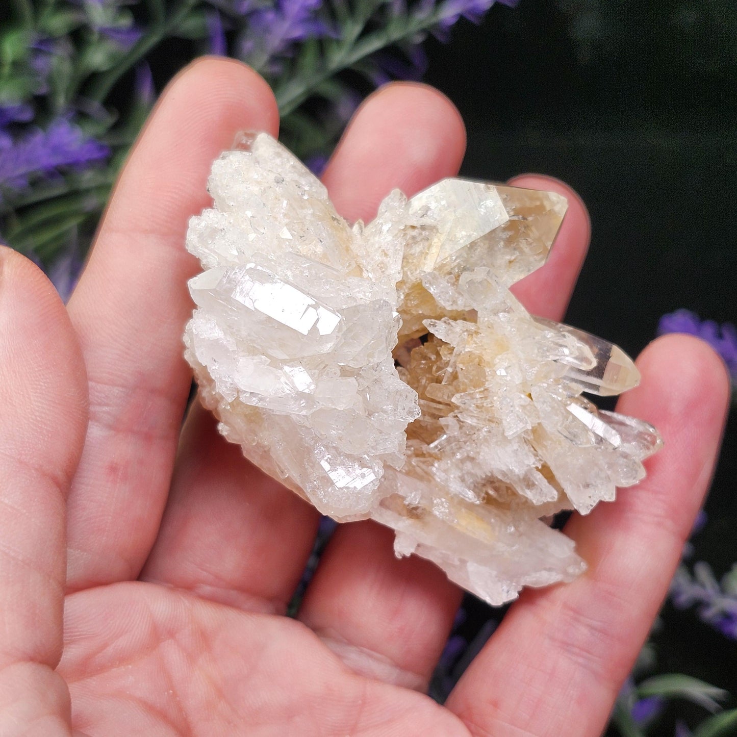 Lemurian Quartz Cluster